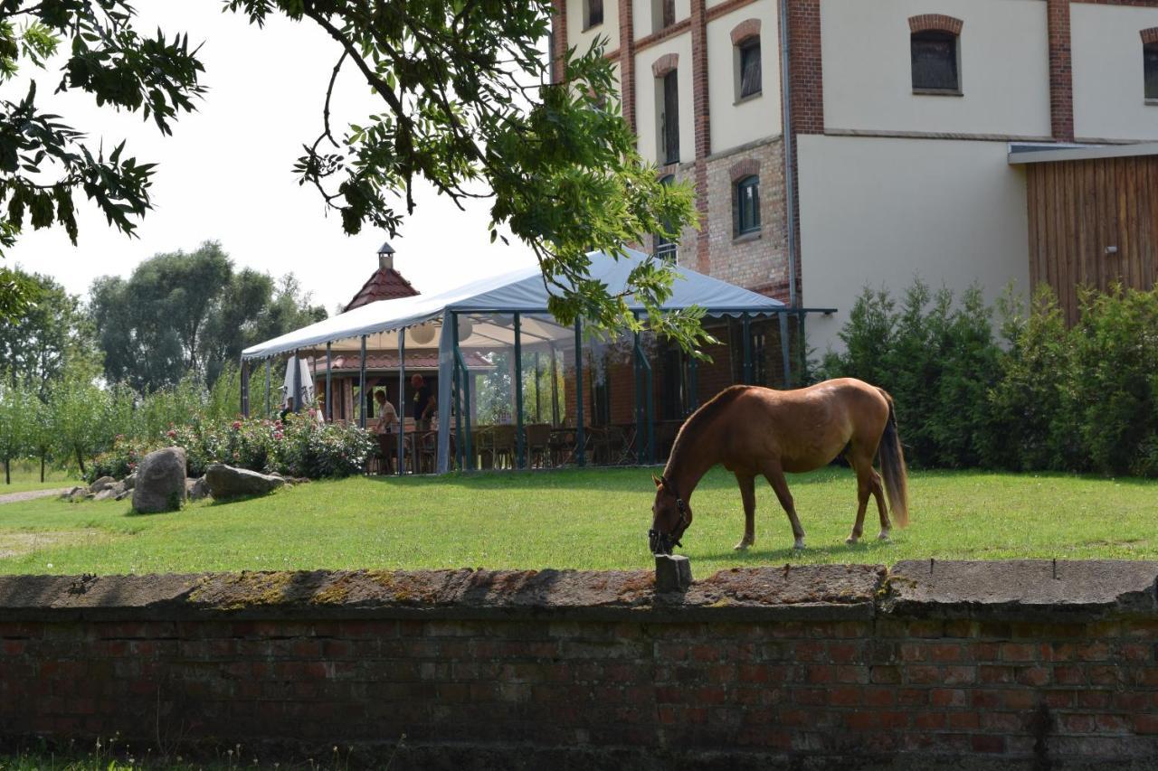 Ferienanlage Gutshaus Gramkow Εξωτερικό φωτογραφία